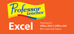 Professor Teaches® Excel 2013 & 365 banner image