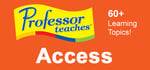 Professor Teaches® Access 2013 & 365 banner image