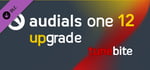 Audials Tunebite 12 - Upgrade to Audials One Suite banner image