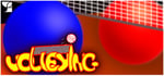 Volleying banner image