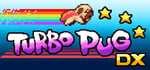 Turbo Pug DX steam charts