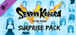SENRAN KAGURA ESTIVAL VERSUS - Surprise Pack banner image