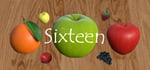 Sixteen banner image