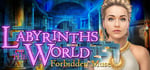 Labyrinths of the World: Forbidden Muse Collector's Edition banner image