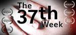 The 37th Week banner image