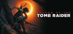 Shadow of the Tomb Raider: Definitive Edition steam charts