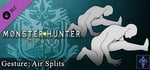 Monster Hunter: World - Gesture: Air Splits banner image