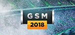Global Soccer: A Management Game 2018 banner image