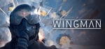 Project Wingman steam charts