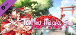 東方幕華祭 ~ Fantastic Danmaku Festival Soundtrack banner image