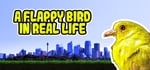 A Flappy Bird in Real Life banner image