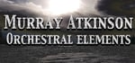 Murray Atkinson - MV Orchestral Elements banner image