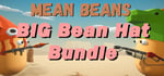 BIG Bean Hat Bundle banner image