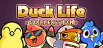 Duck Life Collection banner image