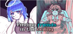 Finding Friends in the Ceiling banner image