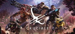 Crucible Beta header banner