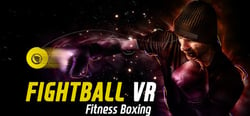 FIGHT BALL - BOXING VR header banner