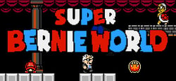 Super Bernie World header banner