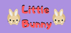 Little Bunny header banner