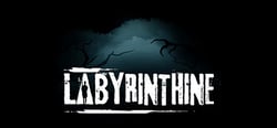 Labyrinthine header banner