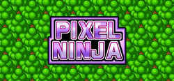 Pixel Ninja header banner
