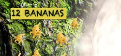 12 bananas header banner