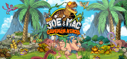 New Joe & Mac - Caveman Ninja header banner