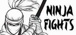 Notebook Ninja Fights header banner