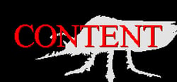 Content header banner