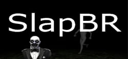 SlapBR header banner