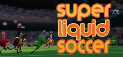 Super Liquid Soccer header banner