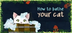 How to bathe your cat header banner