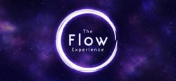 The Flow Experience header banner