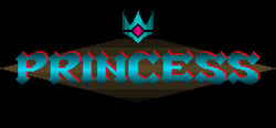 PRINCESS header banner
