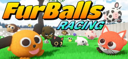FurBalls Racing header banner