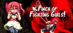 Pinch of Fighting Girls header banner