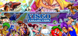 VISCO Collection header banner
