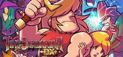 Tiny Barbarian DX header banner