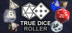 True Dice Roller header banner