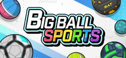 BIG BALL SPORTS header banner