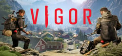 Vigor header banner