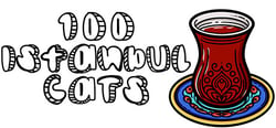 100 Istanbul Cats header banner