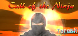 Call of the Ninja! header banner