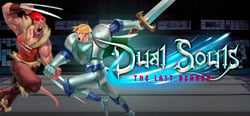 Dual Souls: The Last Bearer header banner