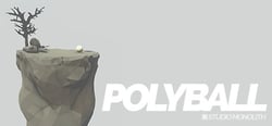 Polyball header banner