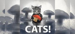 CATS! header banner