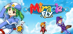 Miracle Fly header banner