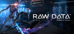 Raw Data header banner