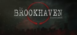 The Brookhaven Experiment header banner