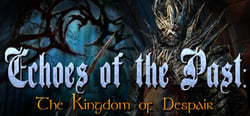 Echoes of the Past: Kingdom of Despair Collector's Edition header banner